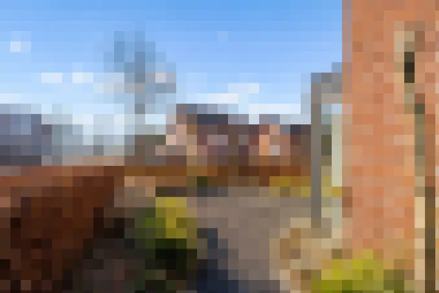 Laarwoud 3 Ede thumbnail 5