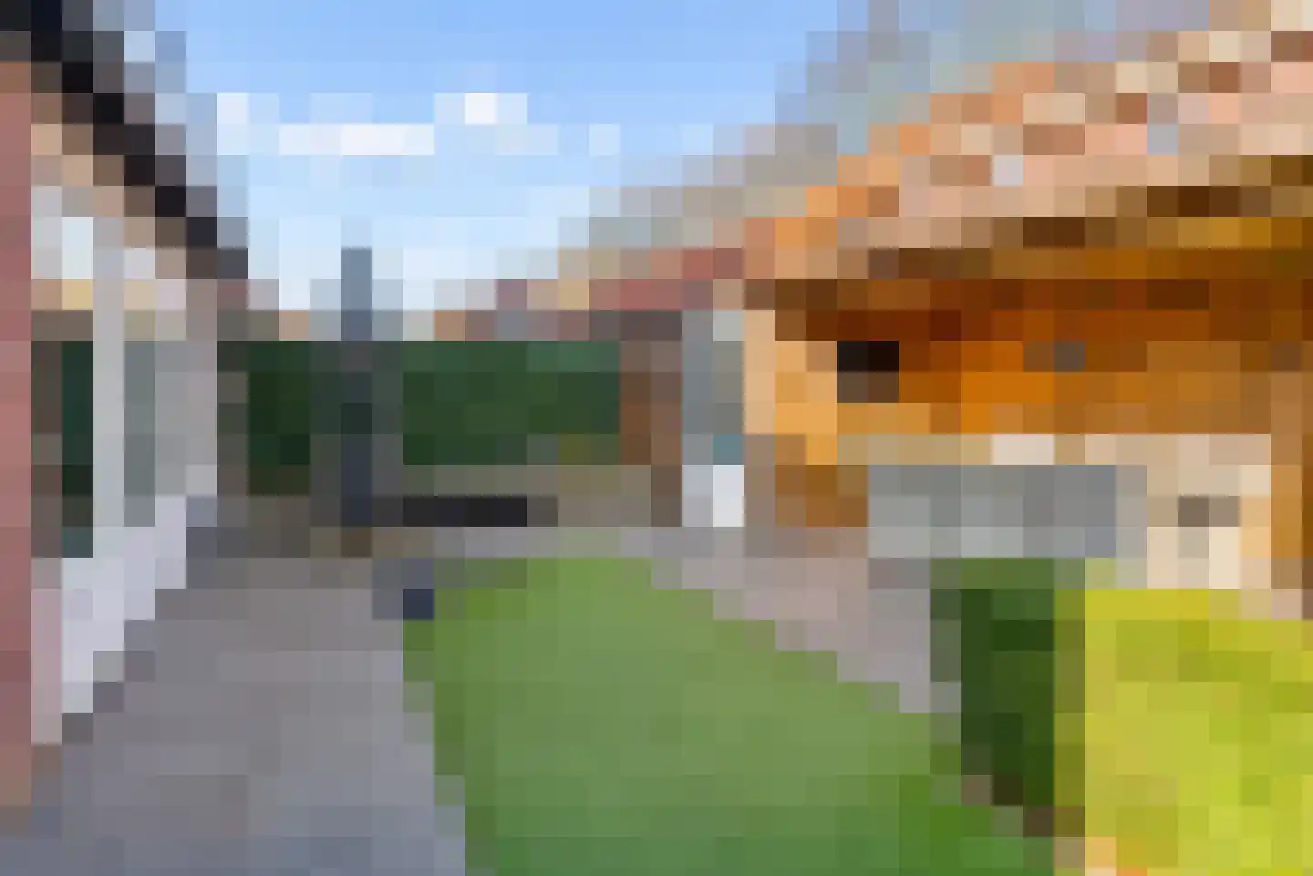 Laarwoud 3 Ede thumbnail 53