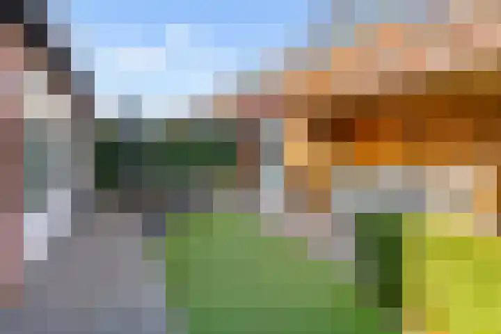 Laarwoud 3 Ede thumbnail 53
