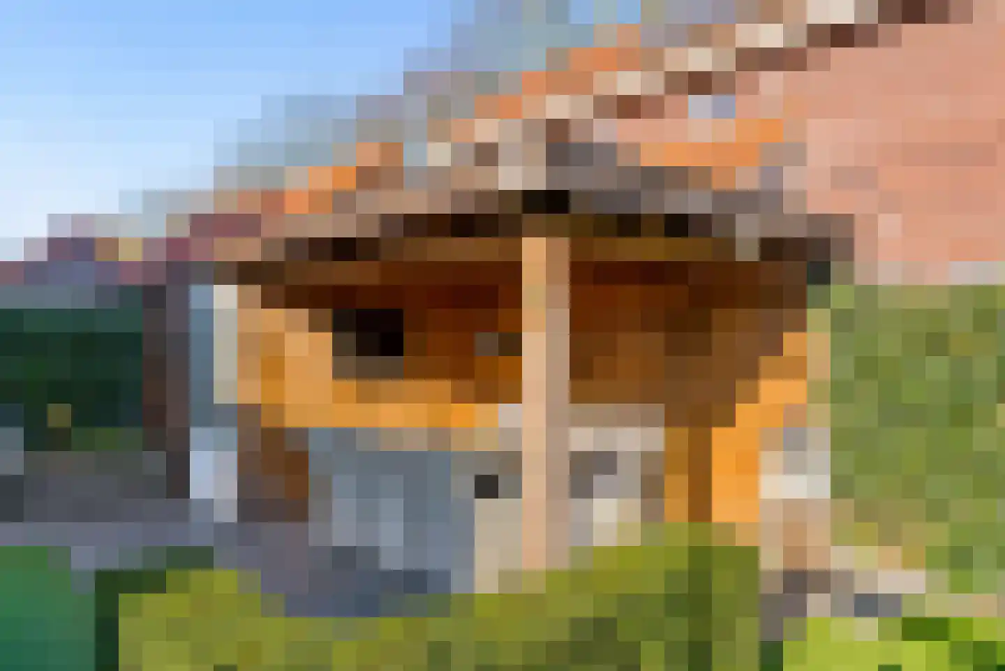 Laarwoud 3 Ede thumbnail 55