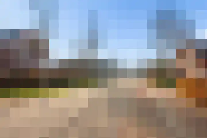 Laarwoud 3 Ede thumbnail 62