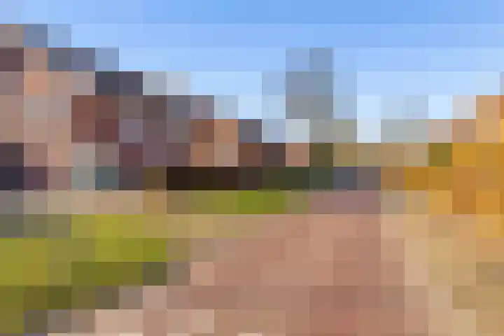 Laarwoud 3 Ede thumbnail 65
