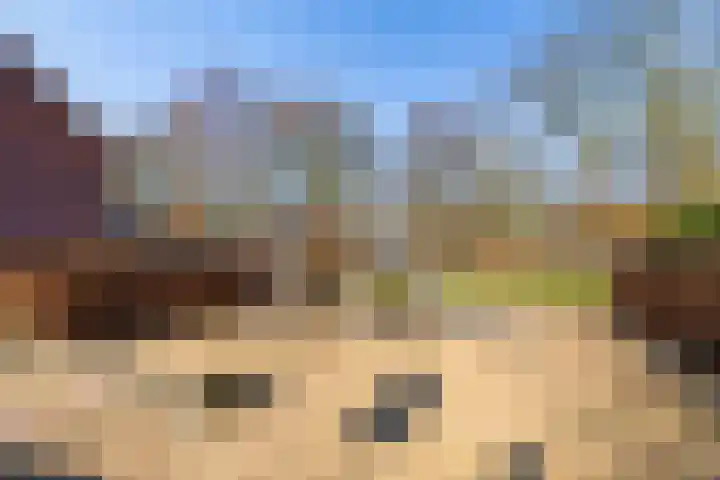 Laarwoud 3 Ede thumbnail 68