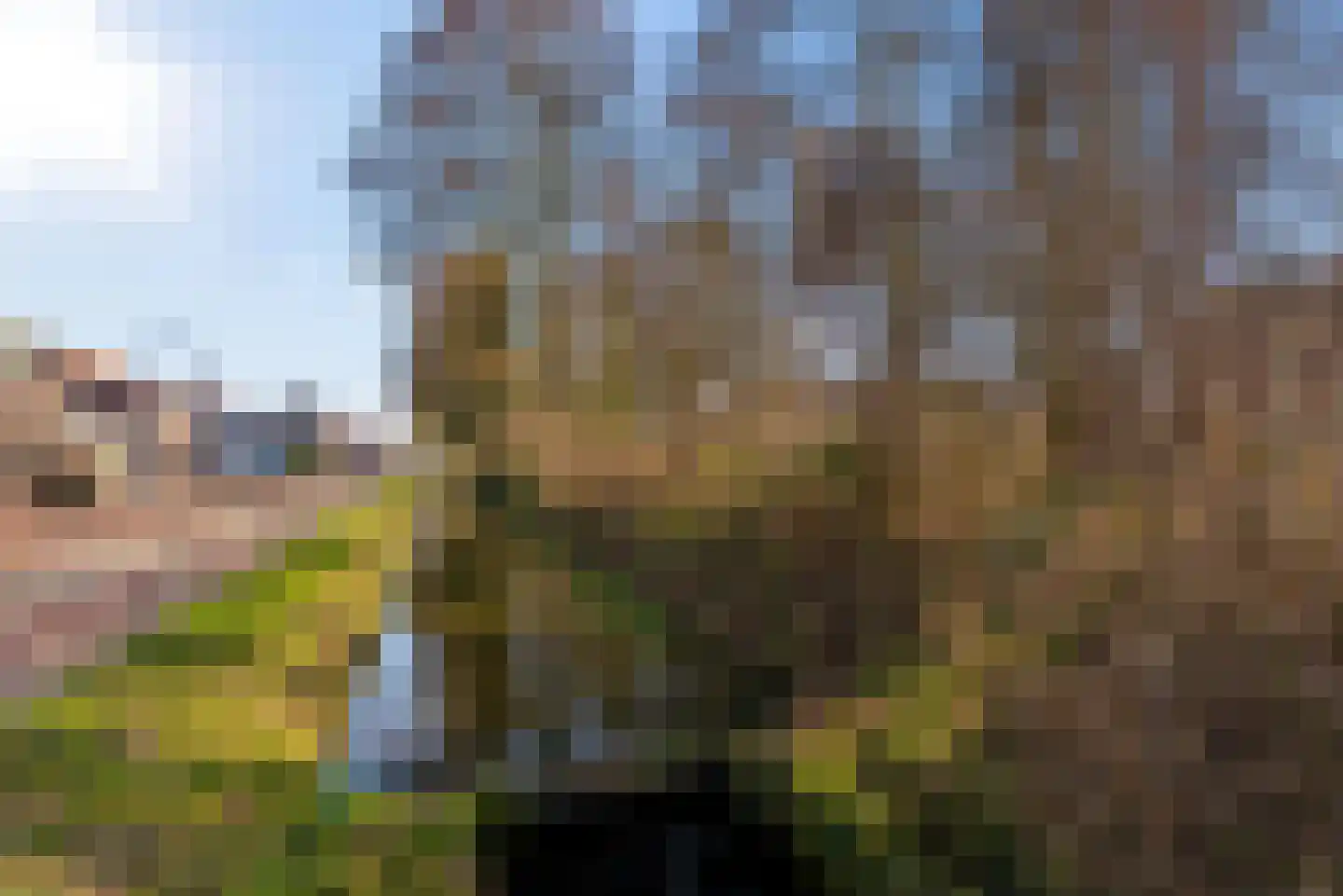 Laarwoud 3 Ede thumbnail 69