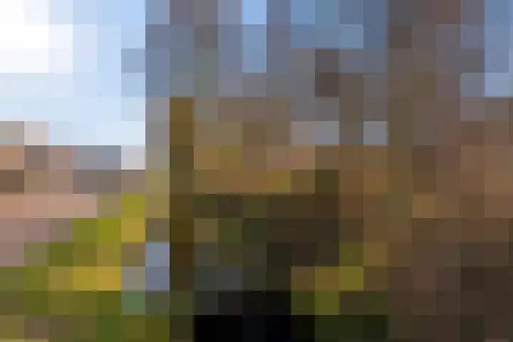 Laarwoud 3 Ede thumbnail 69