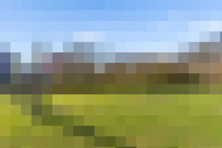 Laarwoud 3 Ede thumbnail 70