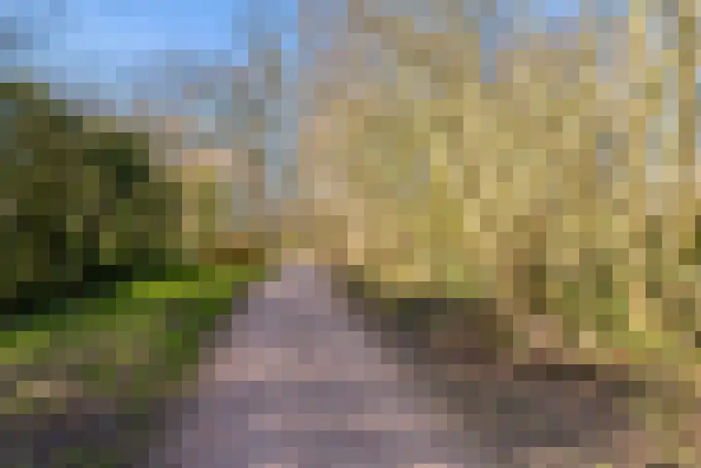 Laarwoud 3 Ede thumbnail 71