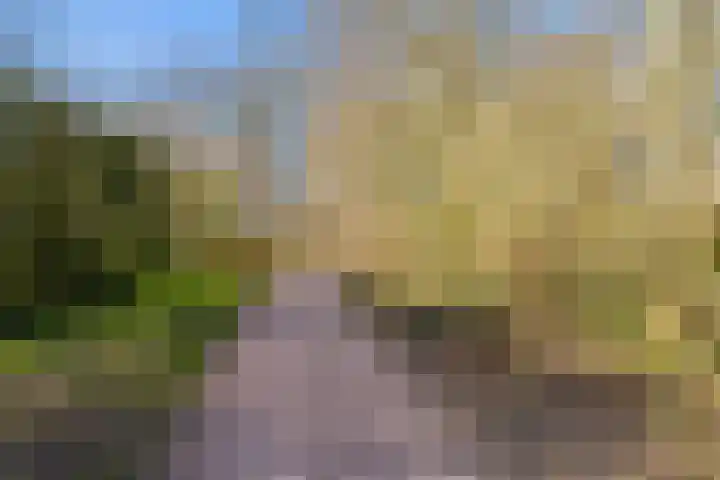 Laarwoud 3 Ede thumbnail 71