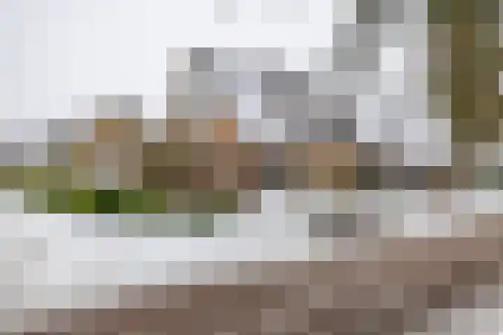 Laarwoud 31 Norg