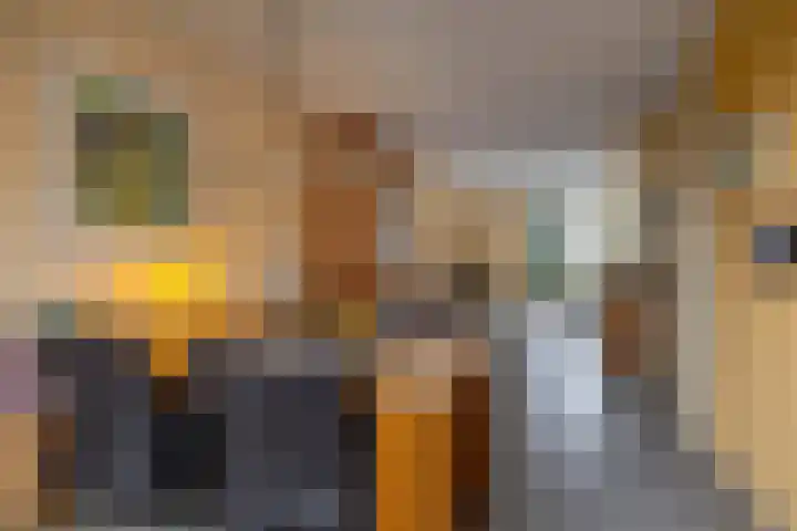 Laarwoud 31 Norg thumbnail 14