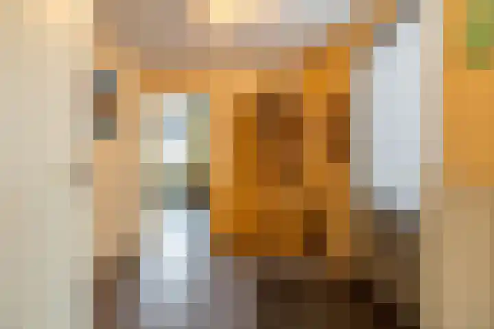 Laarwoud 31 Norg thumbnail 18