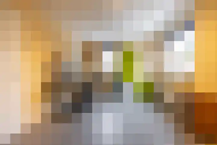 Laarwoud 31 Norg thumbnail 20