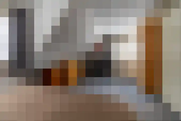 Laarwoud 31 Norg thumbnail 30