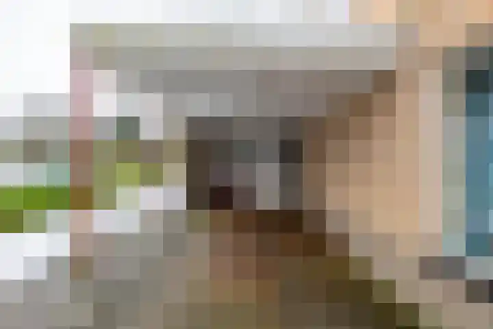 Laarwoud 31 Norg thumbnail 40