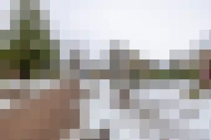 Laarwoud 31 Norg thumbnail 41