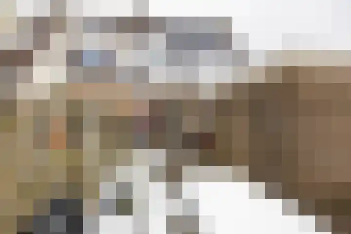 Laarwoud 31 Norg thumbnail 43