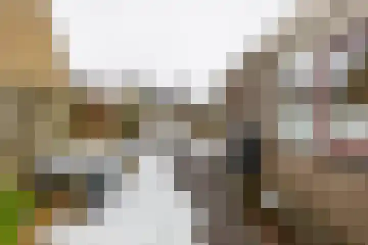 Laarwoud 31 Norg thumbnail 44