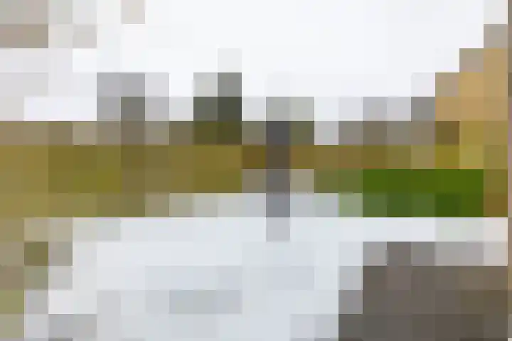 Laarwoud 31 Norg thumbnail 46