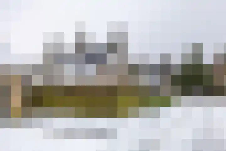 Laarwoud 31 Norg thumbnail 48