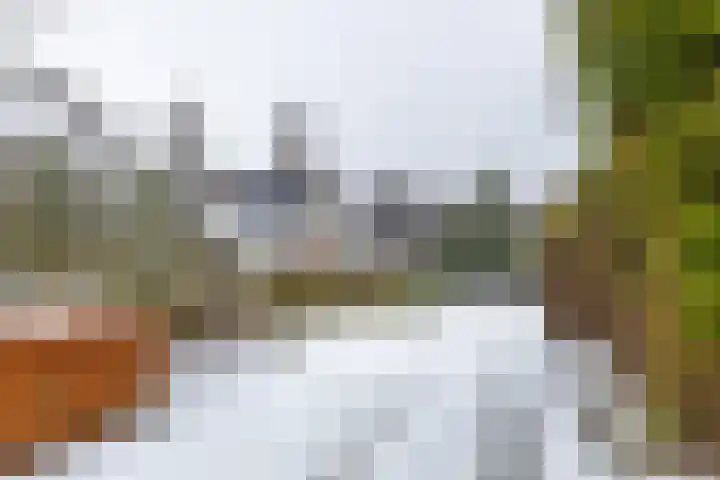 Laarwoud 31 Norg thumbnail 49
