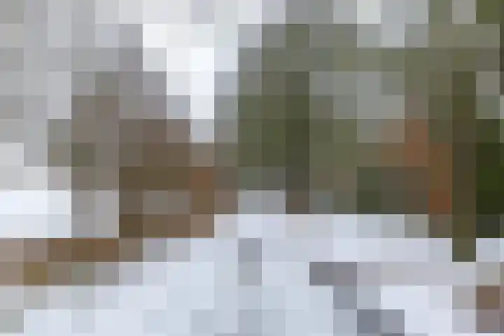 Laarwoud 31 Norg thumbnail 5