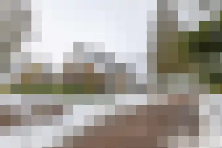 Laarwoud 31 Norg thumbnail 50