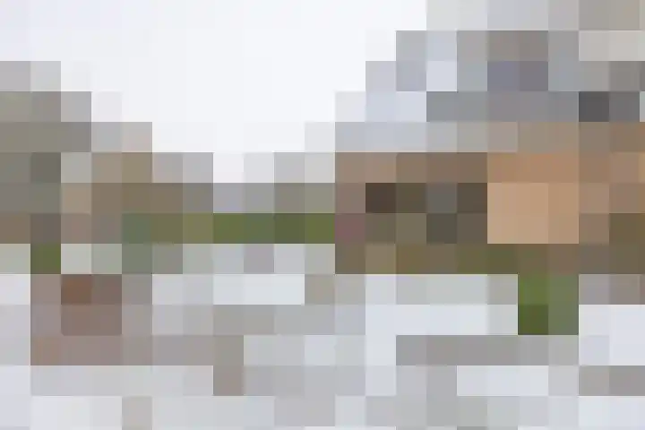 Laarwoud 31 Norg thumbnail 51
