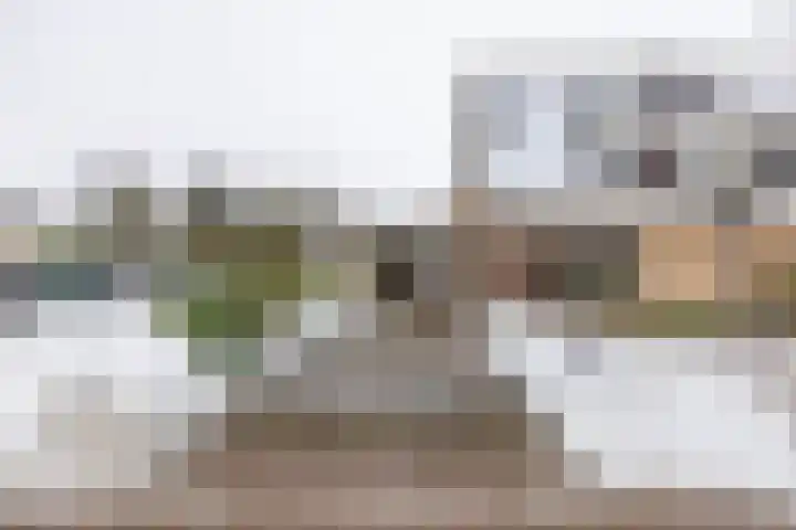 Laarwoud 31 Norg thumbnail 52