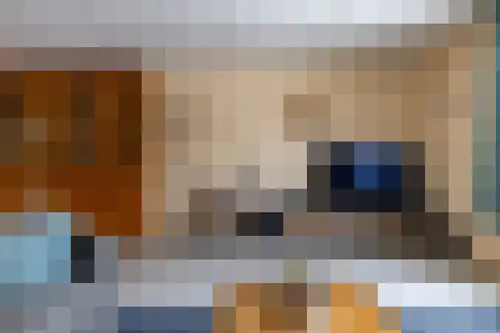 Laarwoud 31 Norg thumbnail 9