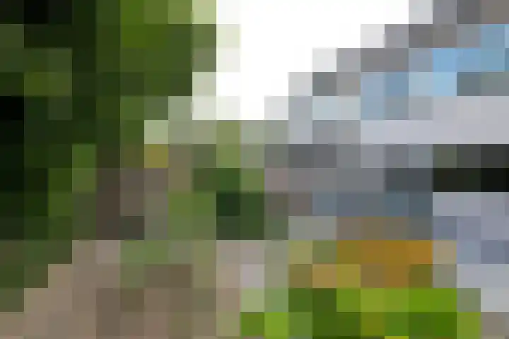 Laarwoud 32 Almelo thumbnail 11