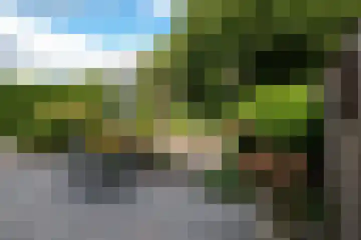 Laarwoud 32 Almelo thumbnail 12