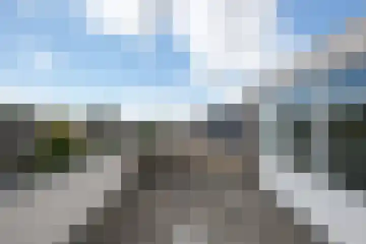 Laarwoud 32 Almelo thumbnail 25