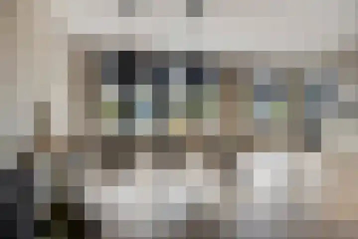 Laarwoud 35 Meppel thumbnail 11