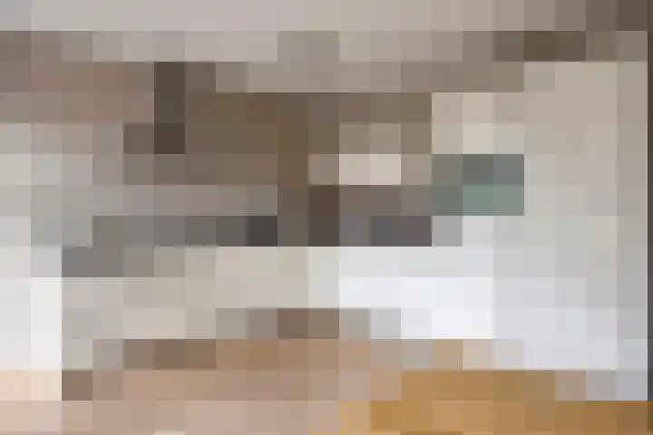 Laarwoud 35 Meppel thumbnail 13