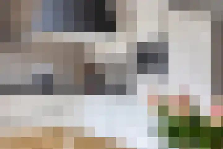 Laarwoud 35 Meppel thumbnail 15
