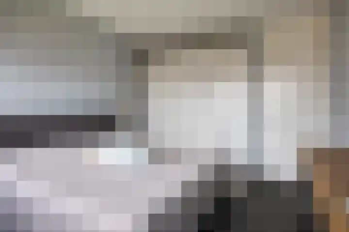 Laarwoud 35 Meppel thumbnail 22