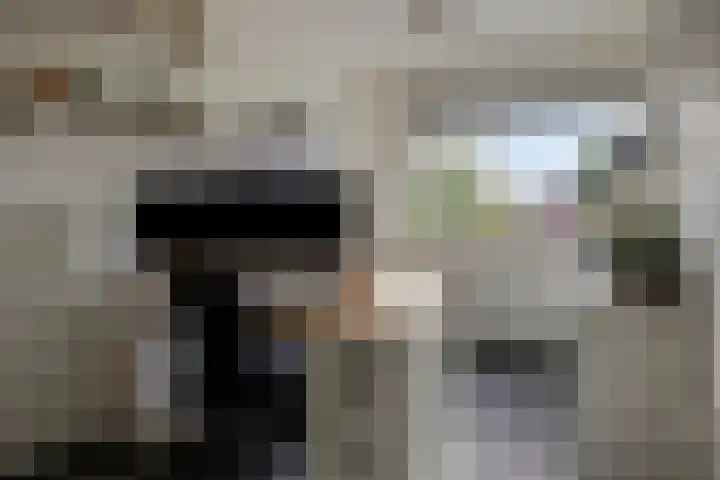 Laarwoud 35 Meppel thumbnail 24