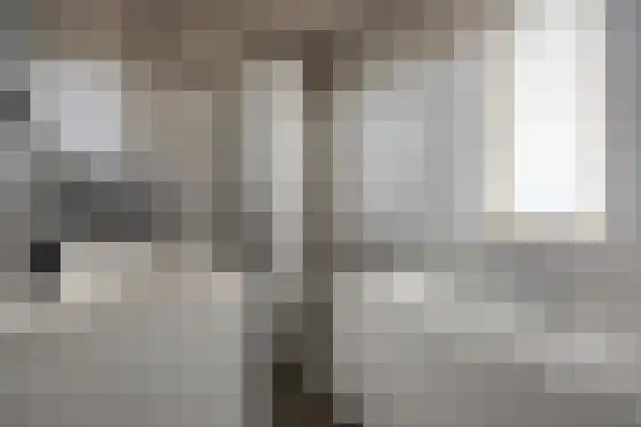 Laarwoud 35 Meppel thumbnail 25