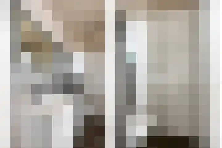 Laarwoud 35 Meppel thumbnail 26