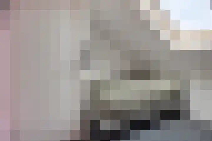Laarwoud 35 Meppel thumbnail 29