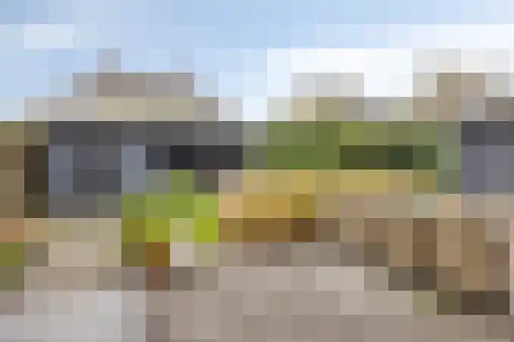 Laarwoud 35 Meppel thumbnail 32