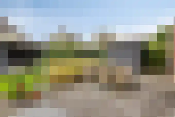 Laarwoud 35 Meppel thumbnail 33