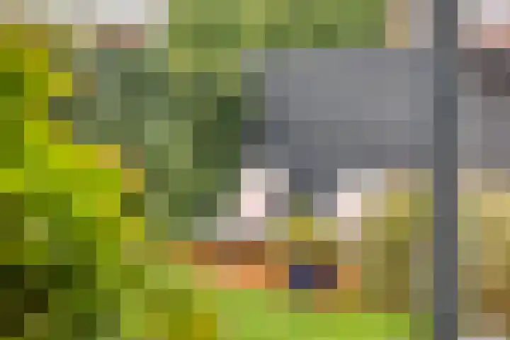 Laarwoud 35 Meppel thumbnail 34