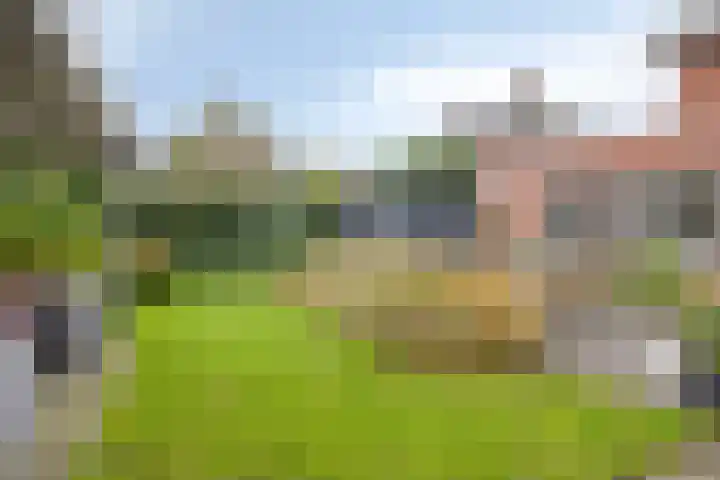 Laarwoud 35 Meppel thumbnail 35