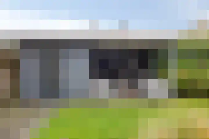 Laarwoud 35 Meppel thumbnail 36