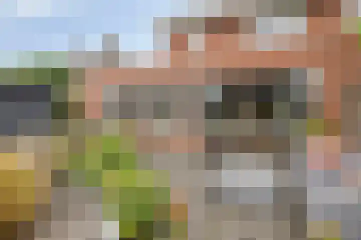Laarwoud 35 Meppel thumbnail 38