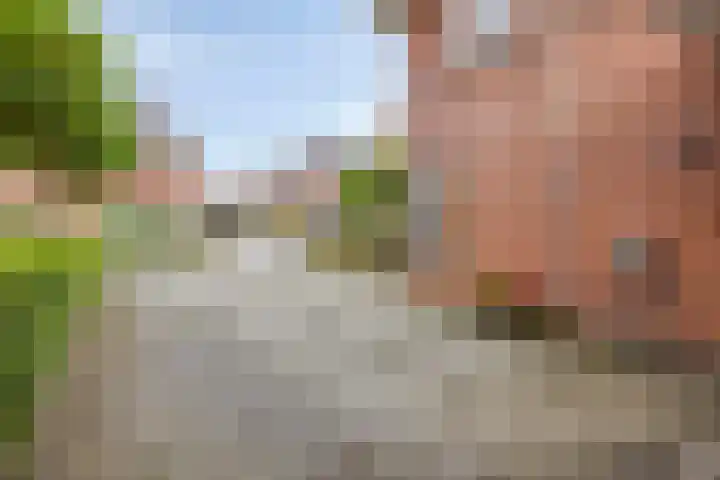 Laarwoud 35 Meppel thumbnail 39
