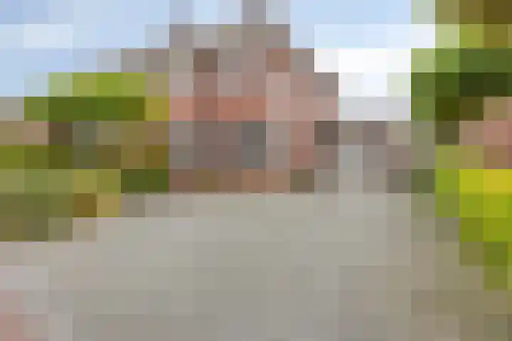 Laarwoud 35 Meppel thumbnail 40
