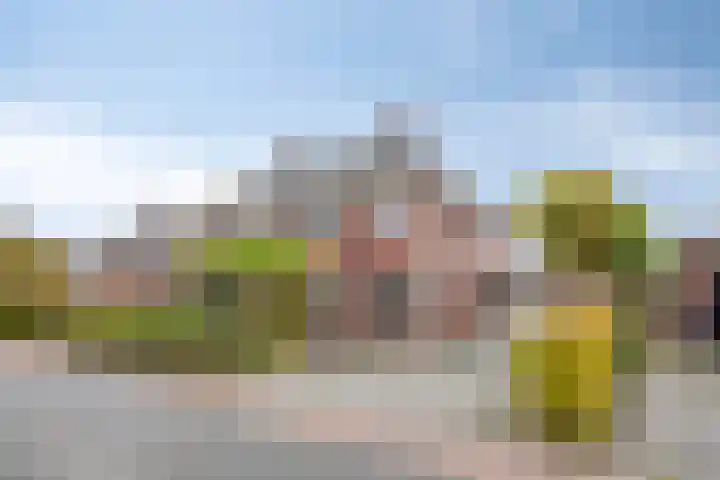 Laarwoud 35 Meppel thumbnail 41