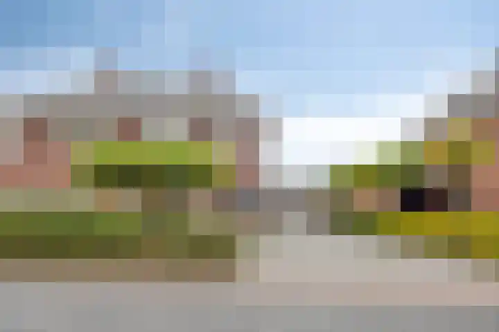 Laarwoud 35 Meppel thumbnail 42